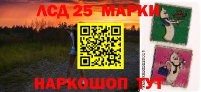 гидропоника Кингисепп