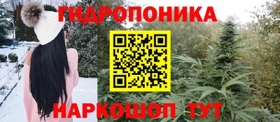 гидропоника Кингисепп