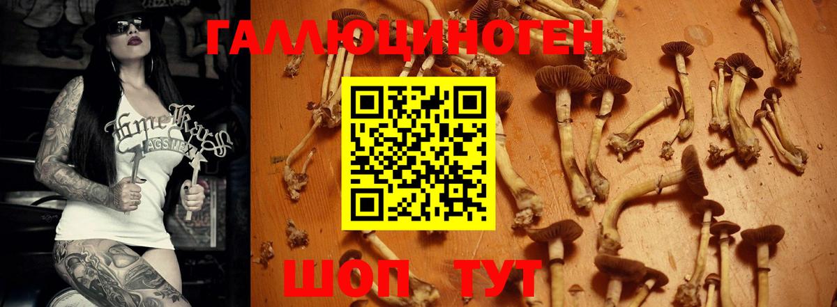 Псилоцибиновые грибы GOLDEN TEACHER Егорьевск
